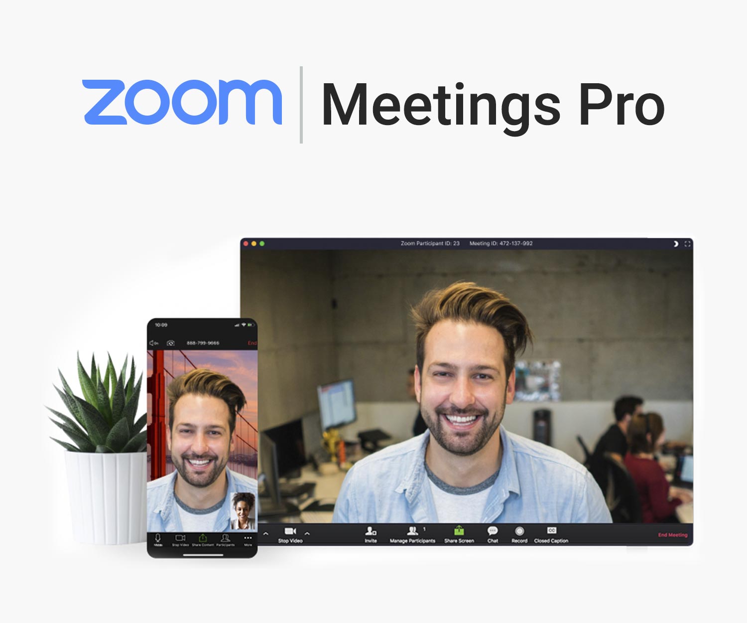 free zoom meeting m4m